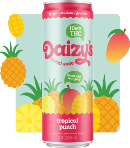 Daizy's Tropical Punch – 10mg THC Beverage | 5g Sugar | 25 Calories