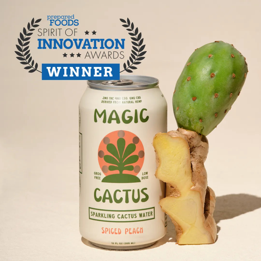 MAGIC CACTUS Low-Dose THC CBD Hemp Drinks - SPICED PEACH